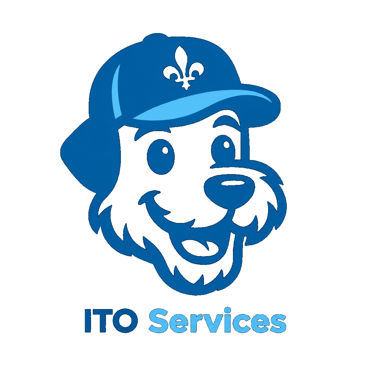 ITO Services
